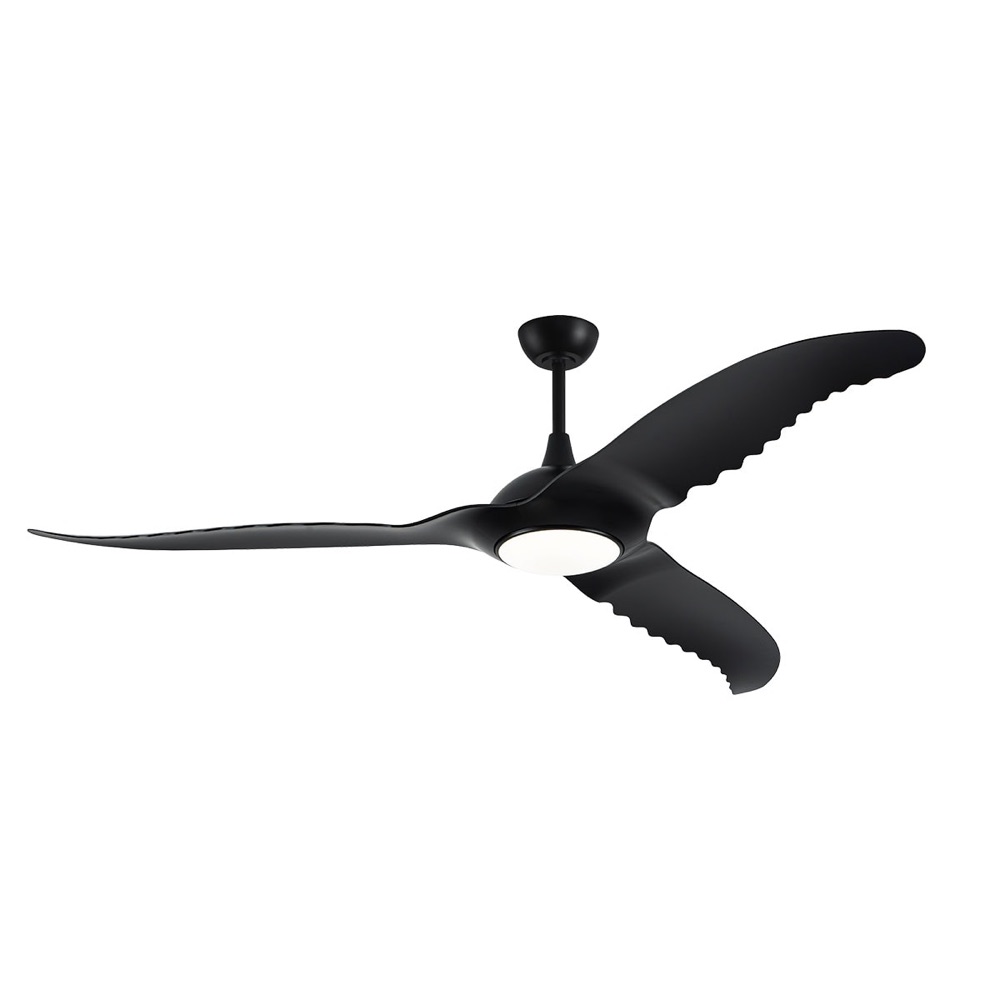 Ceiling Fans