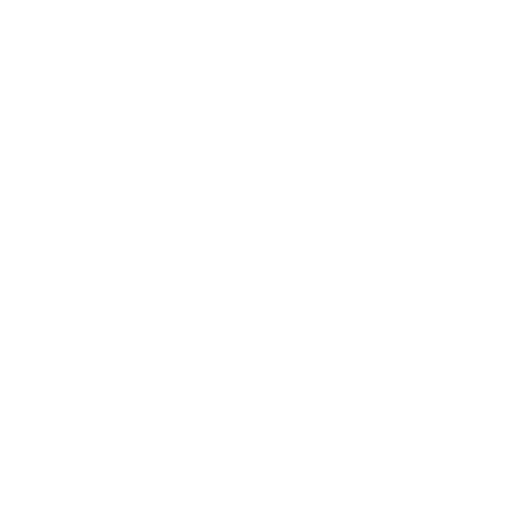 Big Fan Man